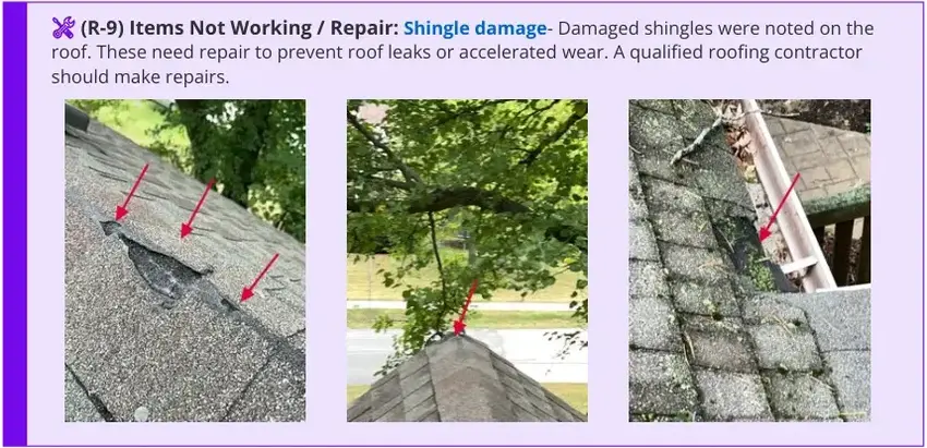 Roofing report excerpt showing damaged shingles, marked photographs and a recommendation for roofing contractor repairs