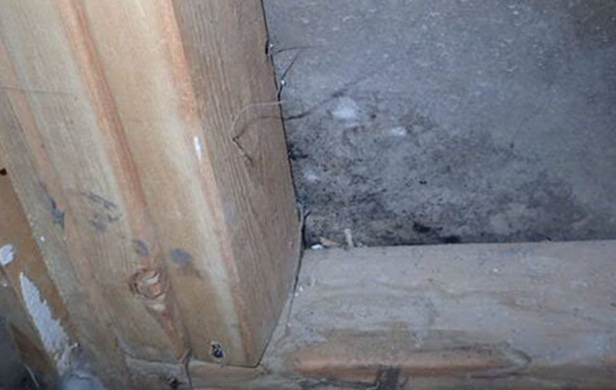 Does a home buyer really need a Mold Inspection?