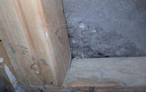 Mold growth on a floor and wooden support, illustrating a potential red flag in home inspections.