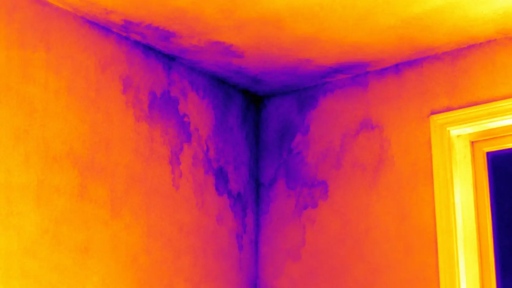 Thermal image showing moisture intrusion patterns