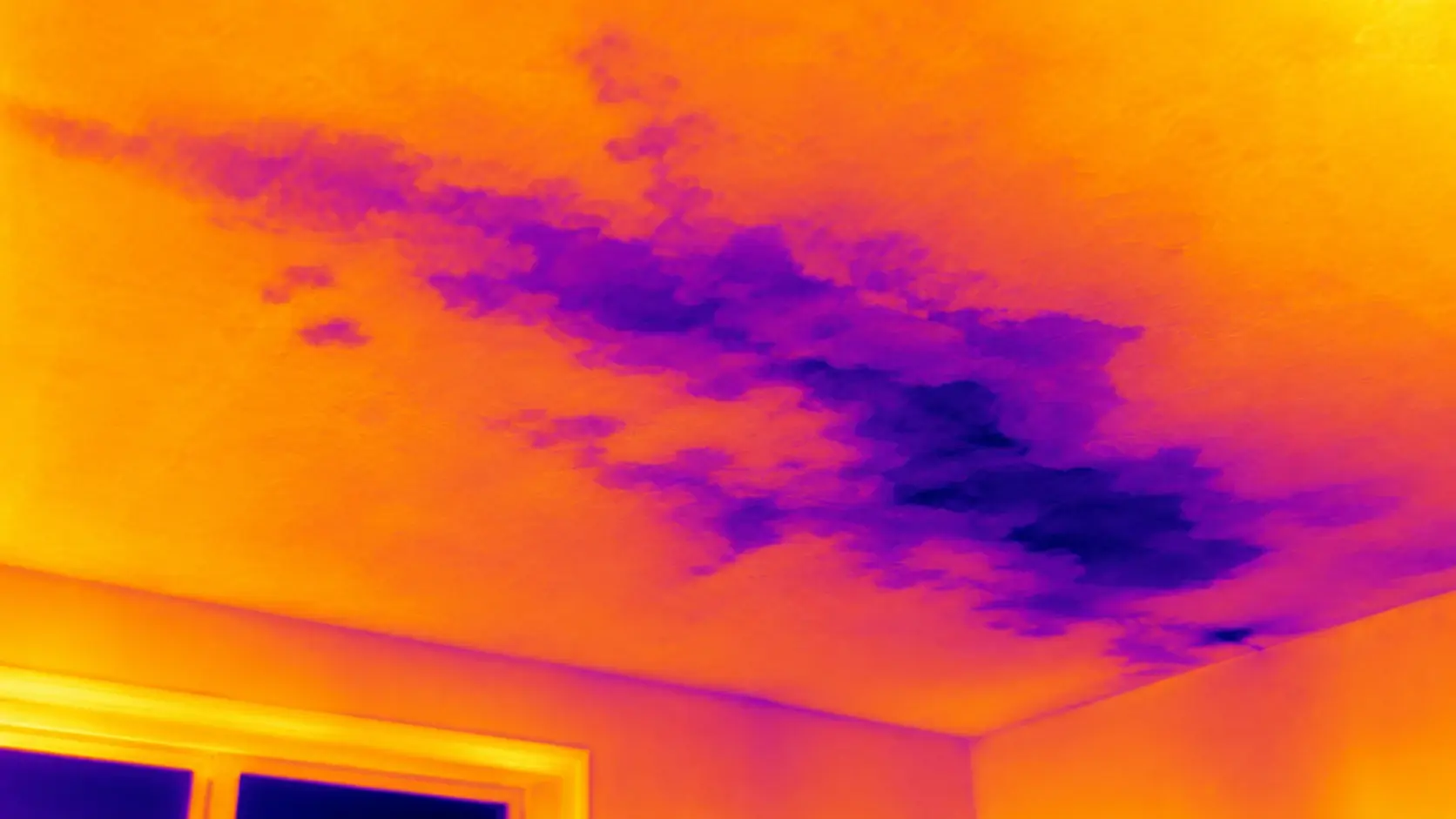 Thermal image showing roof or ceiling moisture patterns